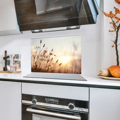 Spatscherm - Dandelion zonsondergang