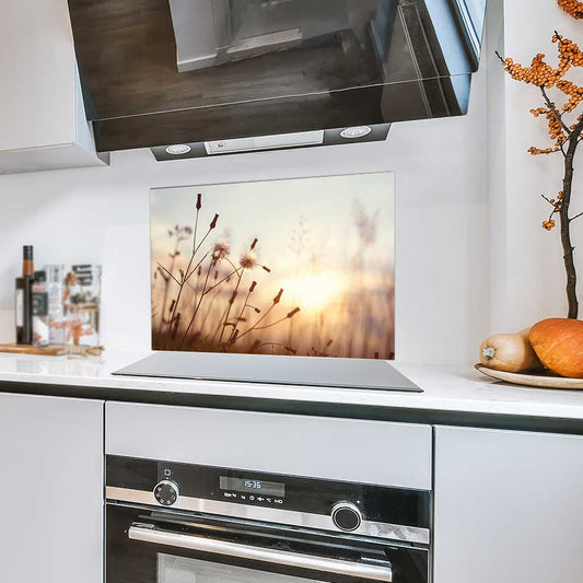 Spatscherm - Dandelion zonsondergang