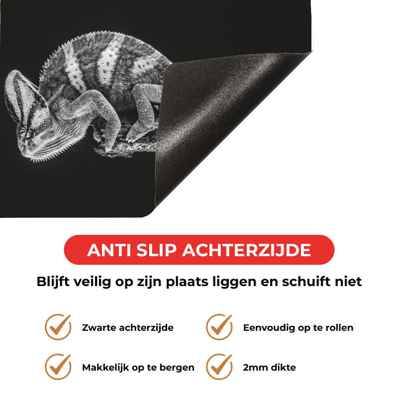 Inductie beschermer - Kameleon