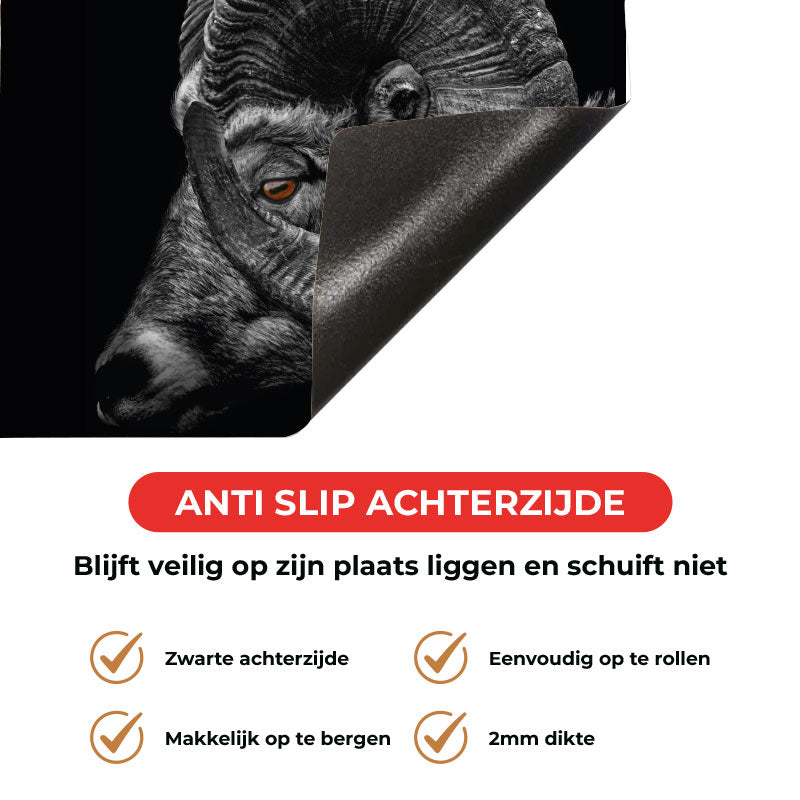 Inductie beschermer - Ram