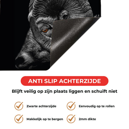 Inductie beschermer - Ram