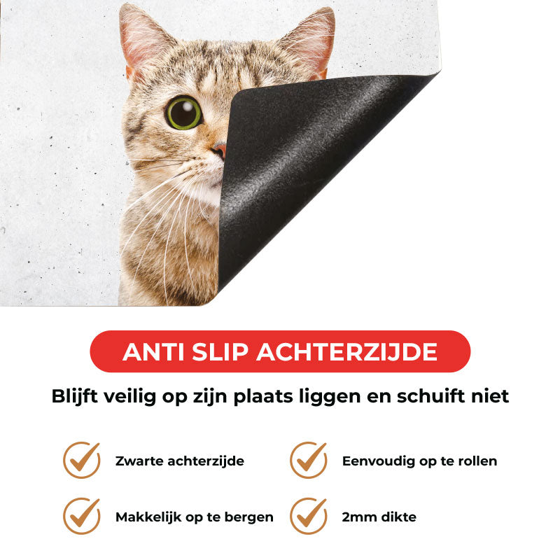 Inductie beschermer - Funny kat beton