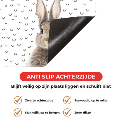 Inductie beschermer - Funny konijn fugler