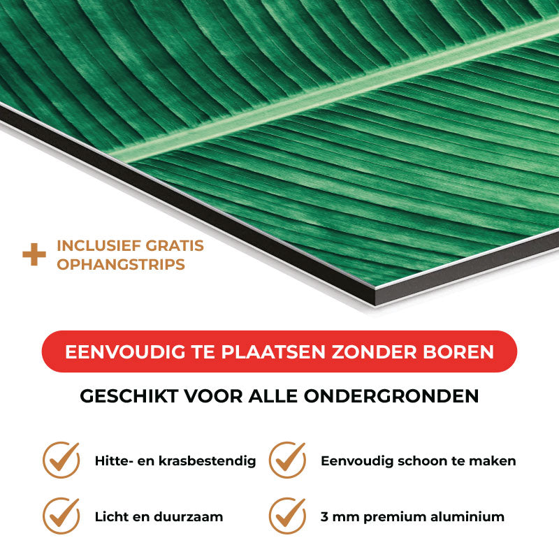 Spatscherm - Groen blad