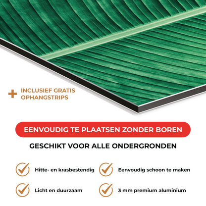 Spatscherm - Groen blad