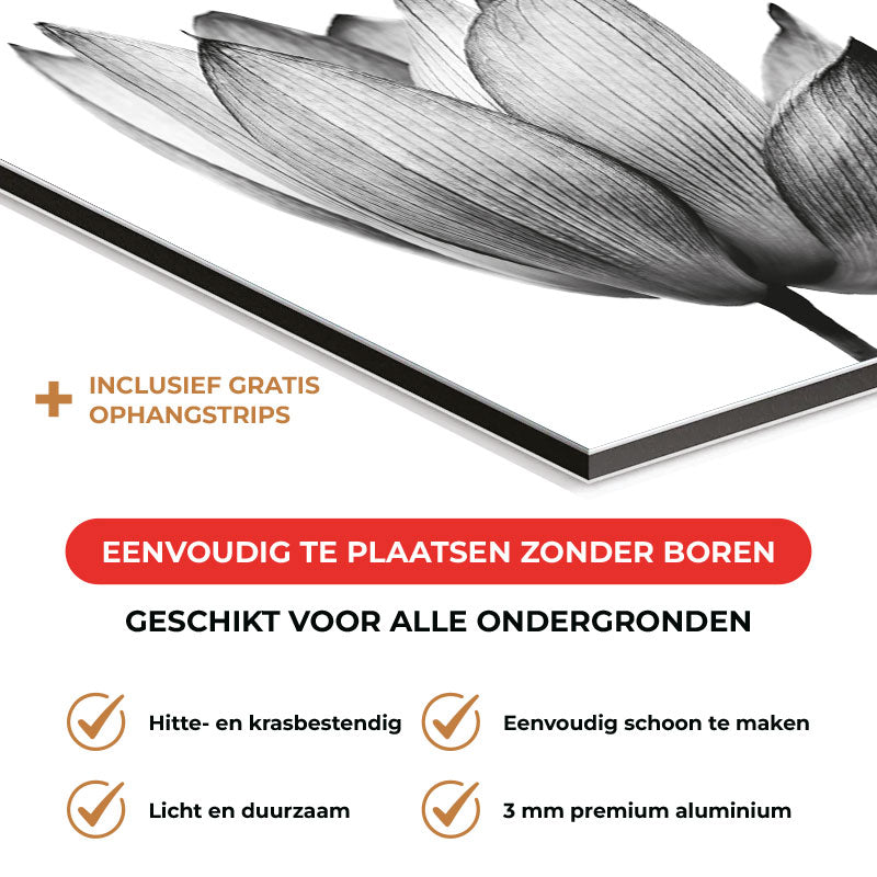 Spatscherm - Lotus in zwart-wit