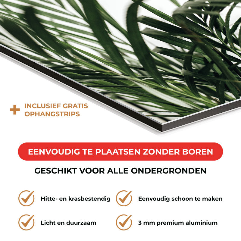 Spatscherm - Palm bladeren
