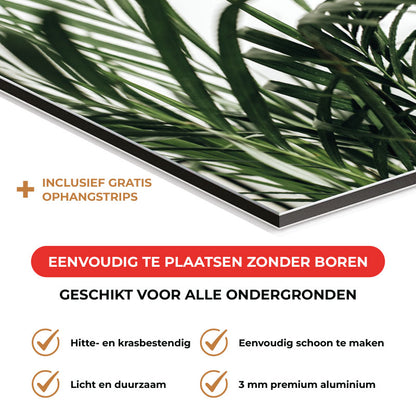Spatscherm - Palm bladeren