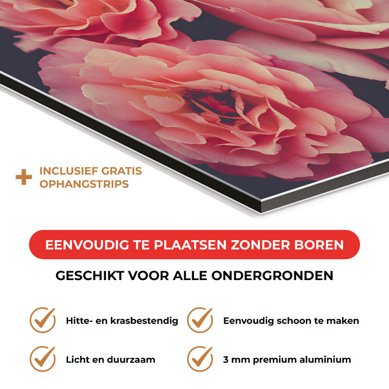 Spatscherm - Rozen close-up