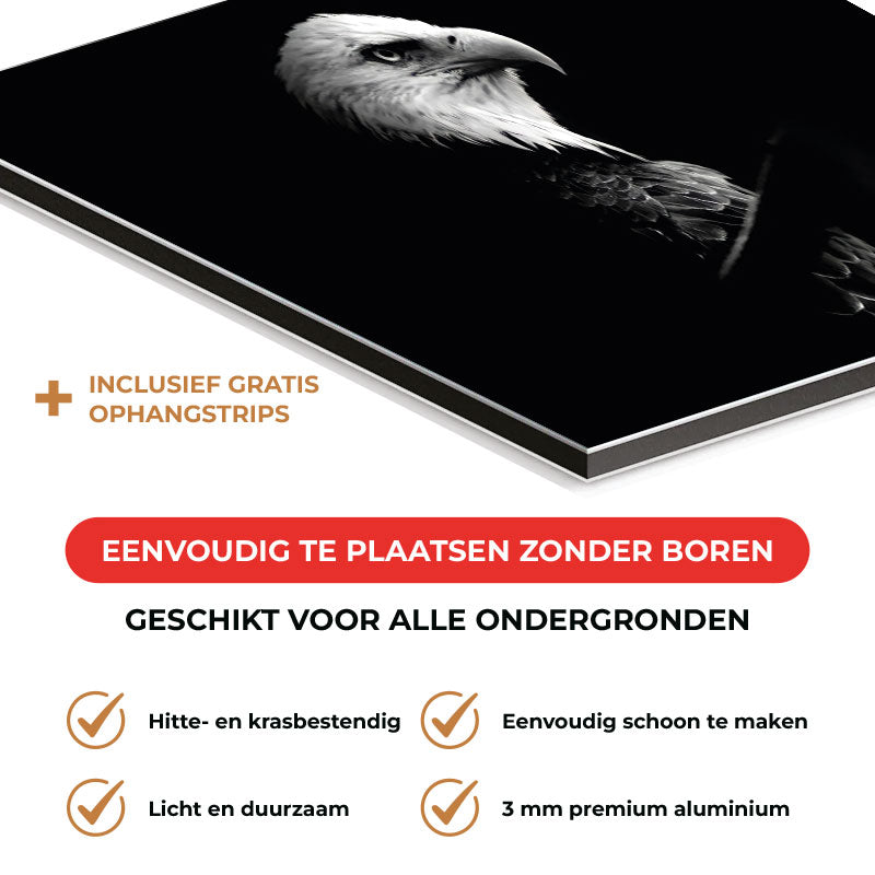 Spatscherm - Arend