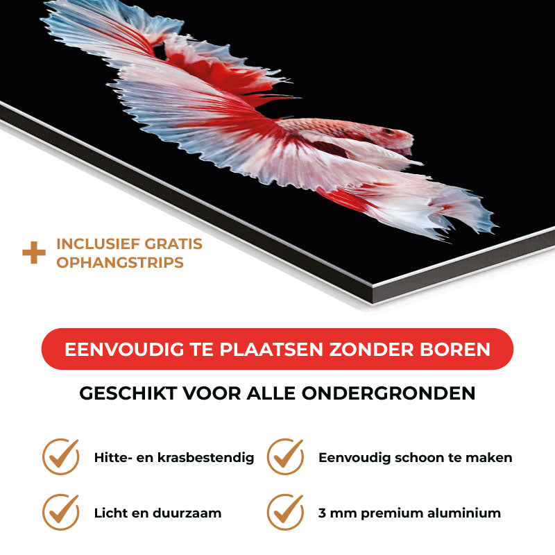 Spatscherm - Betta vis