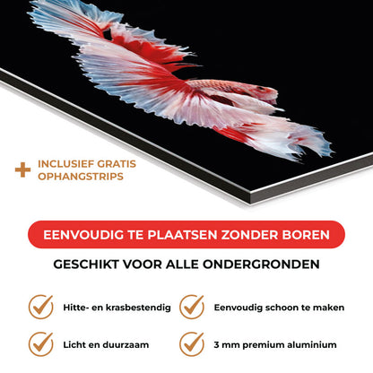 Spatscherm - Betta vis