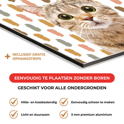 Spatscherm - Funny kat vlekken