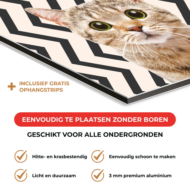 Spatscherm - Funny kat zigzag