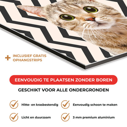 Spatscherm - Funny kat zigzag