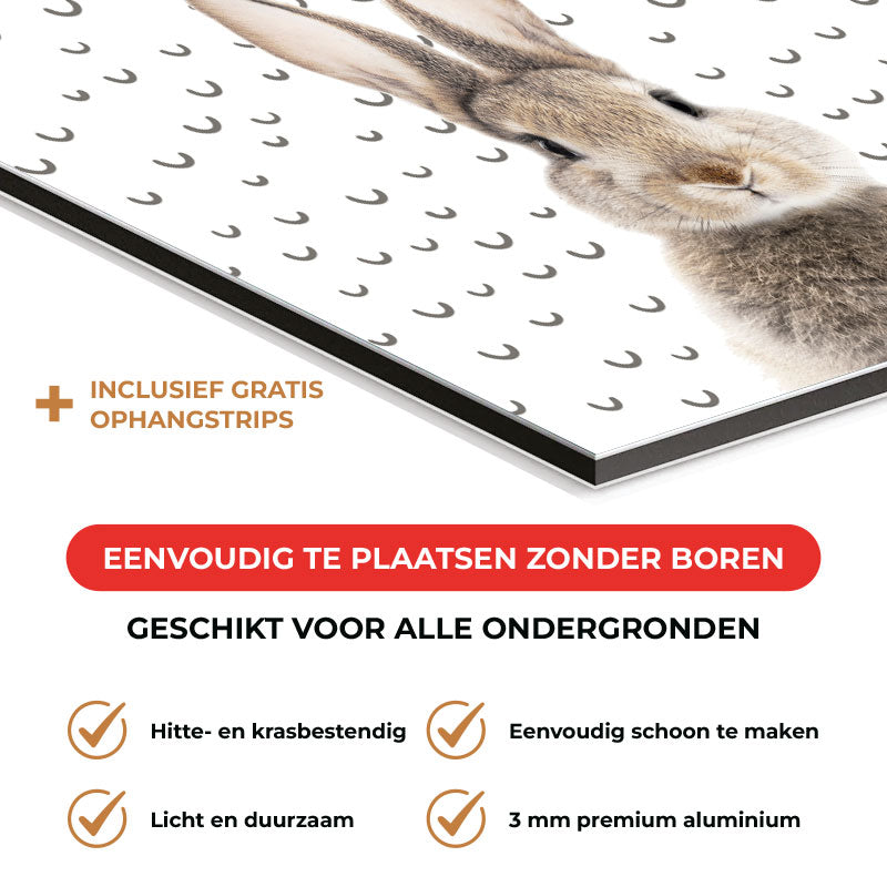 Spatscherm - Funny konijn fugler