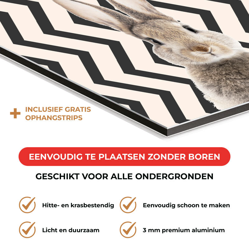 Spatscherm - Funny konijn zigzag