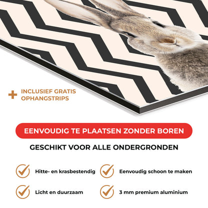 Spatscherm - Funny konijn zigzag