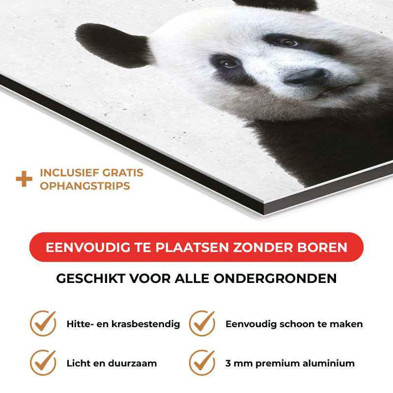 Spatscherm - Funny panda beton