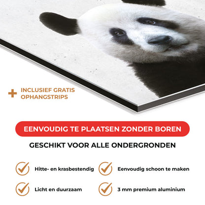 Spatscherm - Funny panda beton