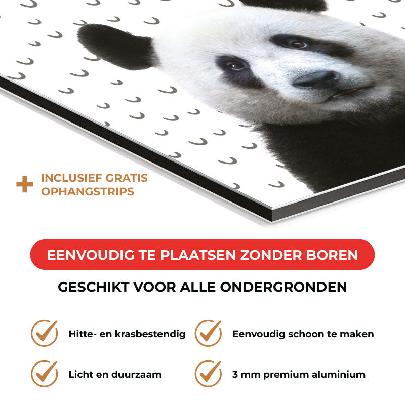 Spatscherm - Funny panda fugler