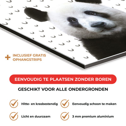 Spatscherm - Funny panda fugler