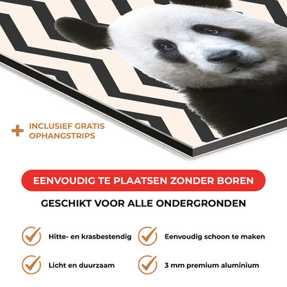 Spatscherm - Funny panda zigzag
