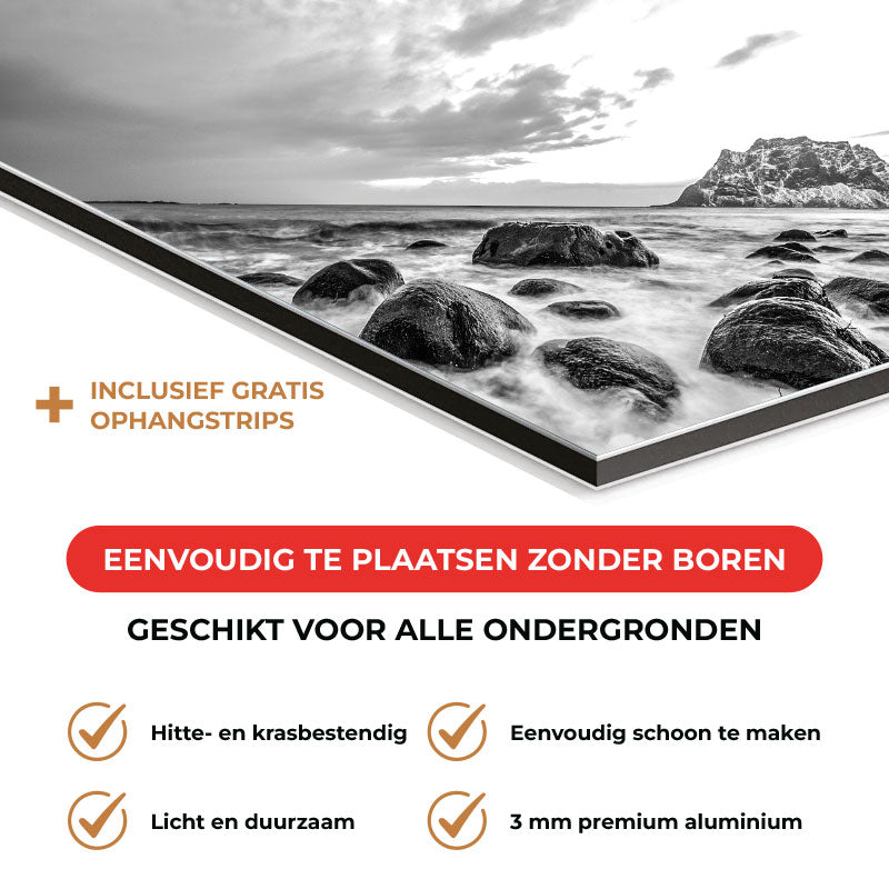 Spatscherm - Noordse Zee