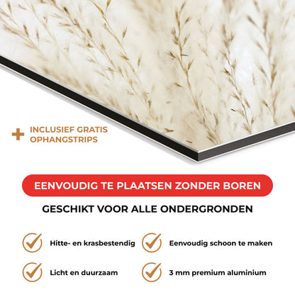 Spatscherm - Pampas Beige