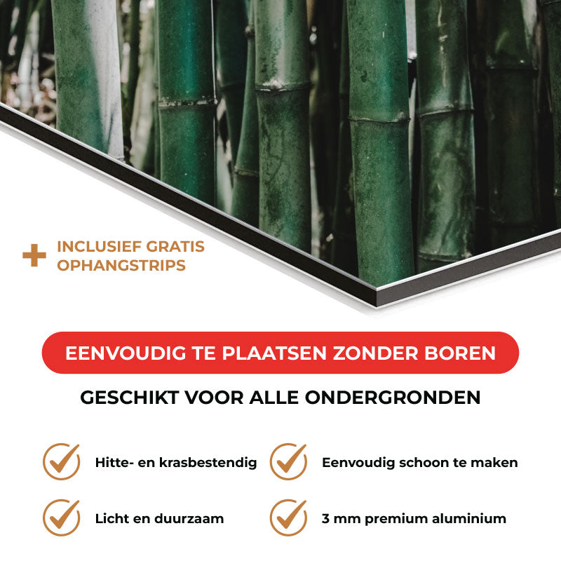 Spatscherm - Groene Bamboe