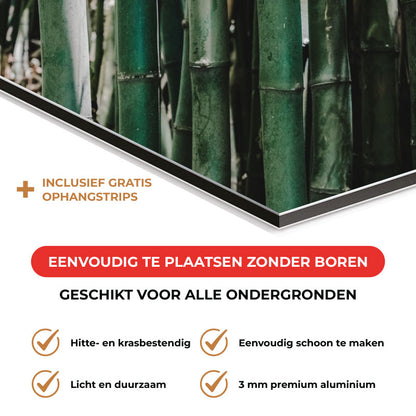 Spatscherm - Groene Bamboe