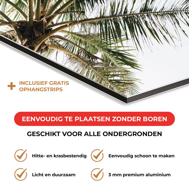 Spatscherm - Palmstrand