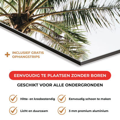 Spatscherm - Palmstrand