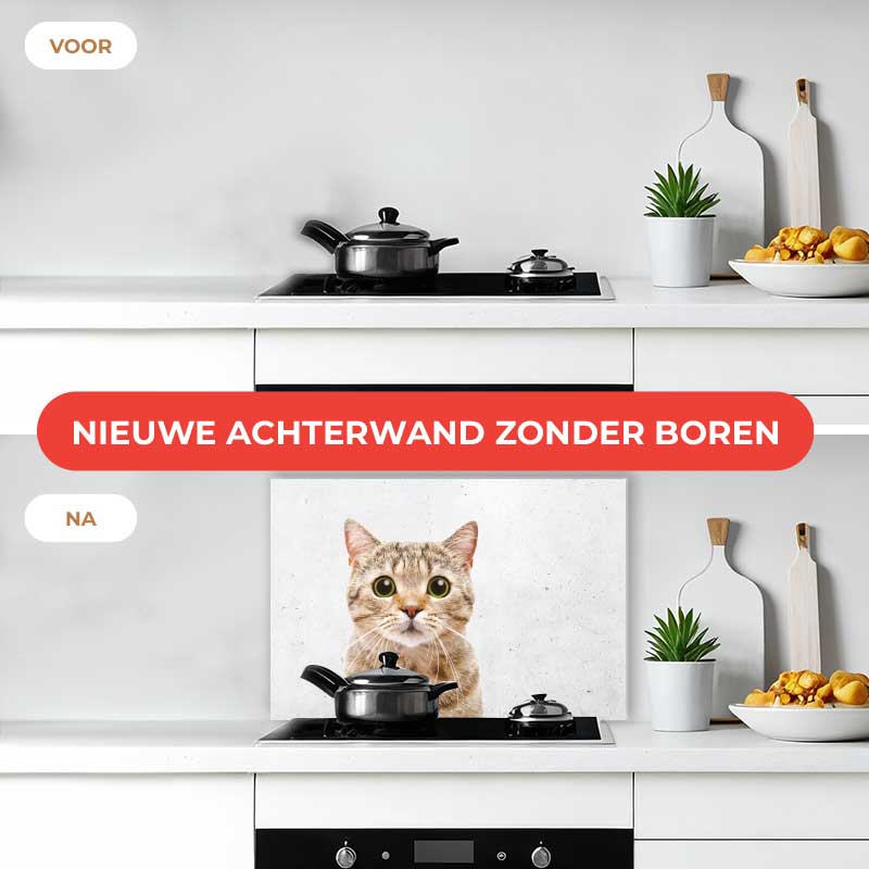 Spatscherm - Funny kat beton