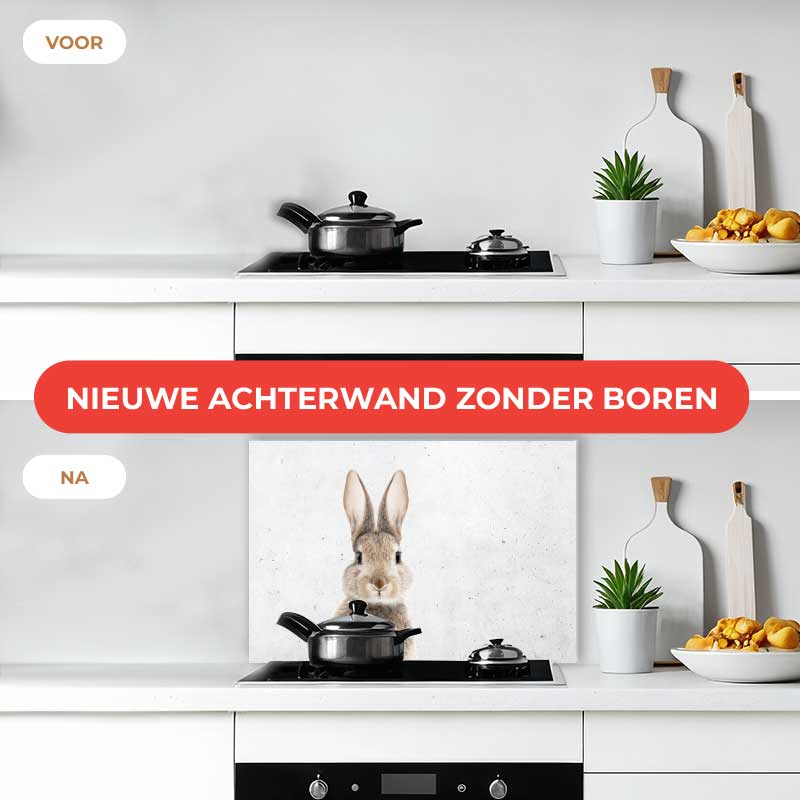 Spatscherm - Funny konijn beton