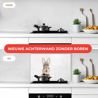 Spatscherm - Funny konijn beton