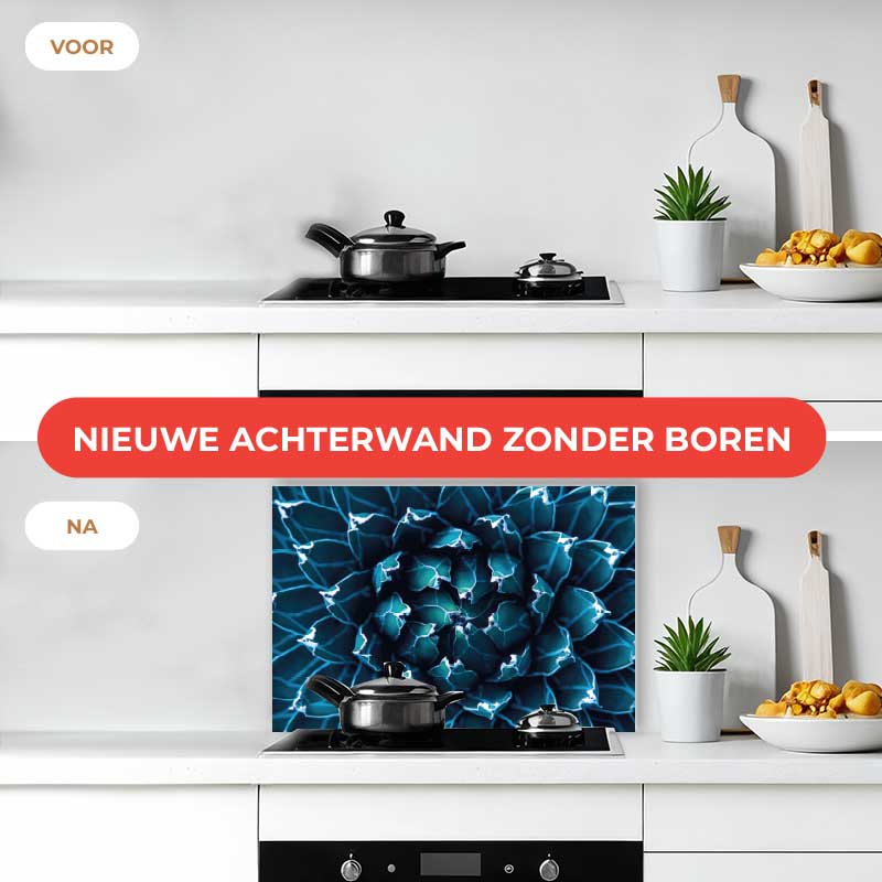 Spatscherm - Blauwe agave