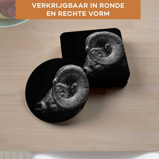 Onderzetter - Ram