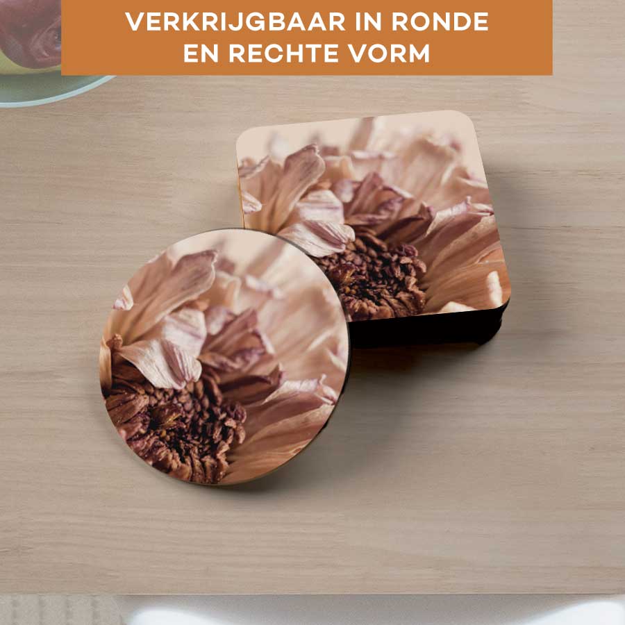 Onderzetter - Gedroogde chrysant