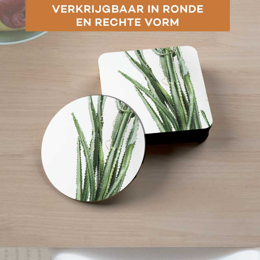 Onderzetter - Cactus