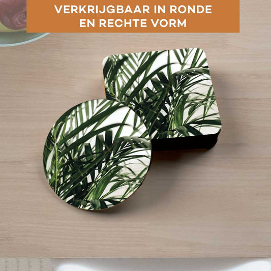 Onderzetter - Palm bladeren