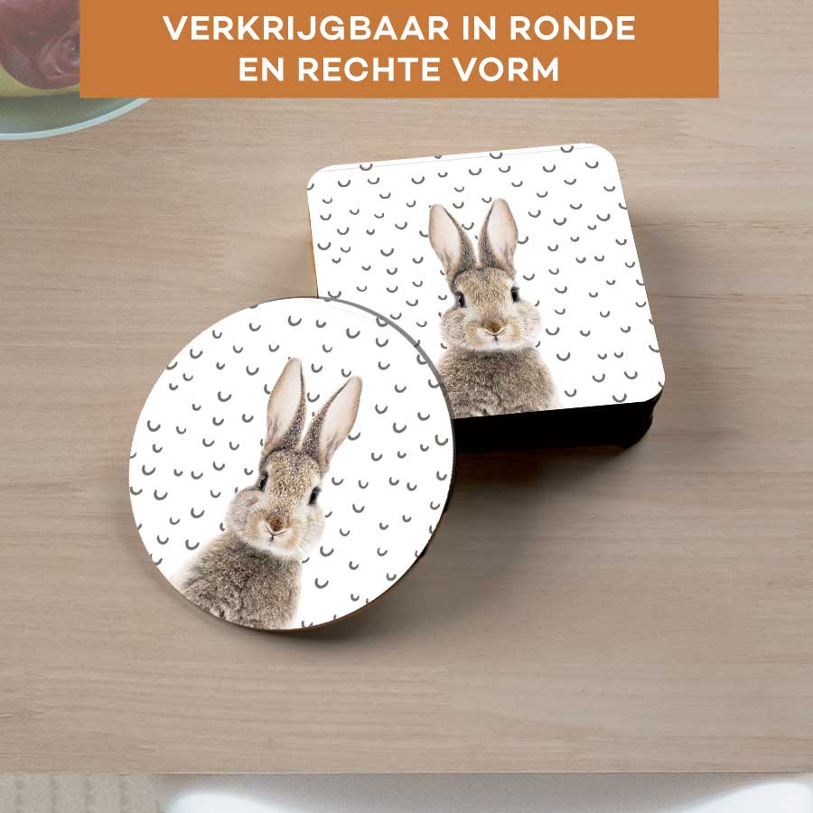 Onderzetter - Funny konijn fugler