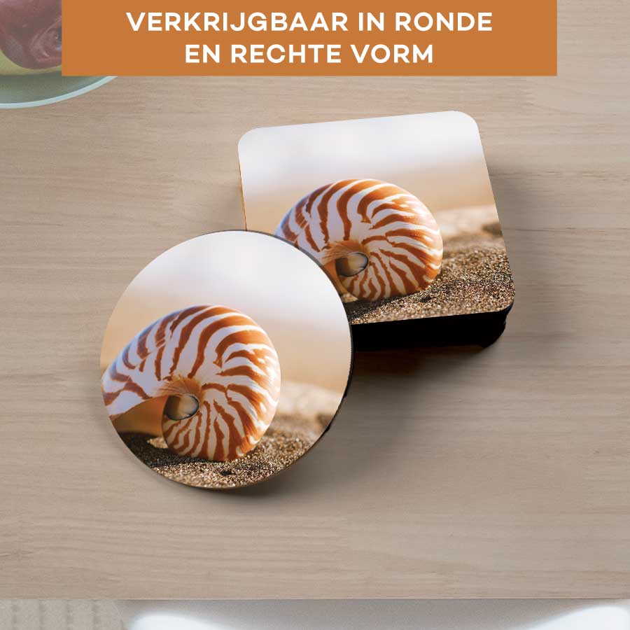 Onderzetter - Zeeschelp