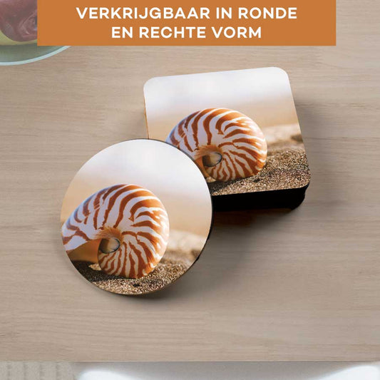 Onderzetter - Zeeschelp