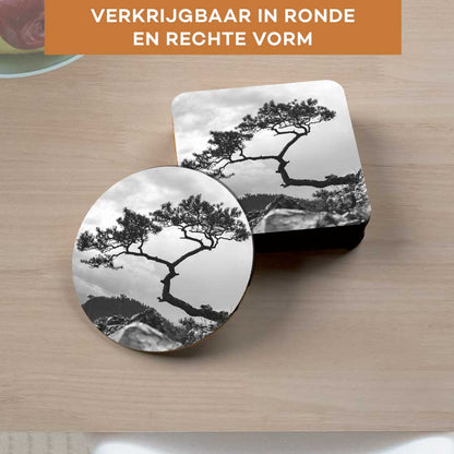 Onderzetter - Overhangende boom