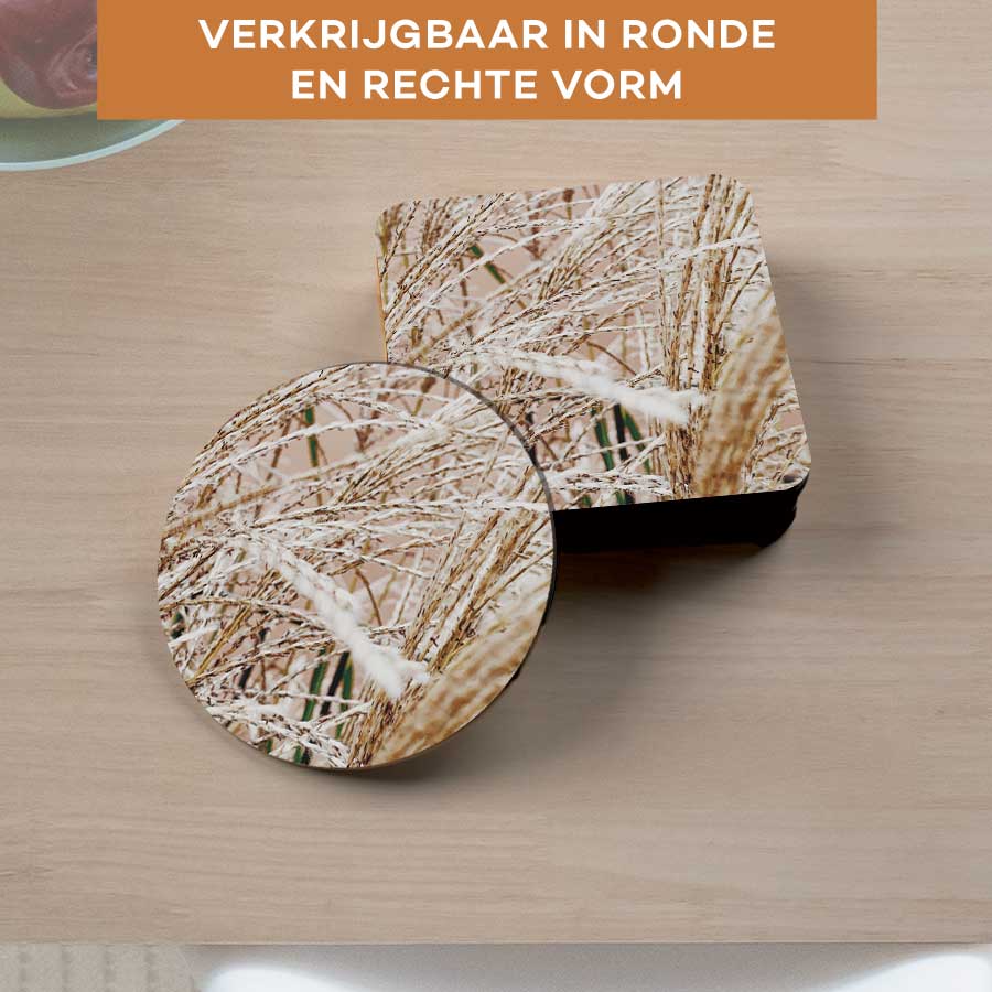 Onderzetter - Droge rietstengels