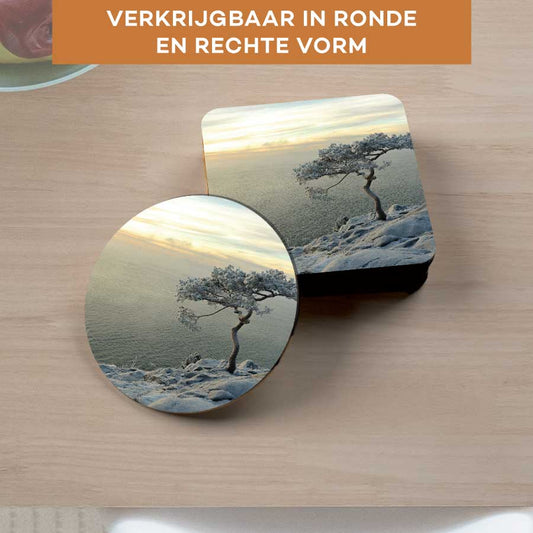 Onderzetter - Winterboom