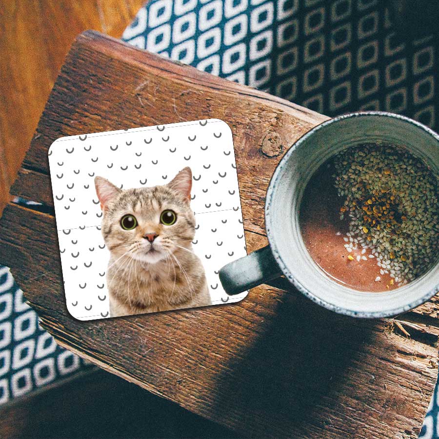 Onderzetter - Funny kat fugler