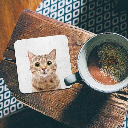 Onderzetter - Funny kat beton