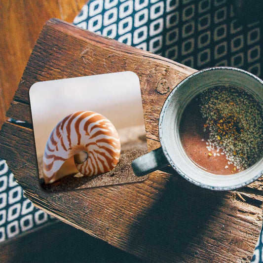 Onderzetter - Zeeschelp